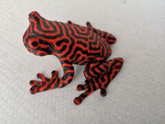 IMG_20200118_123314.jpg