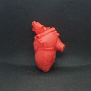 20200217_133600.jpg