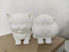 IMG_20201207_113435.jpg