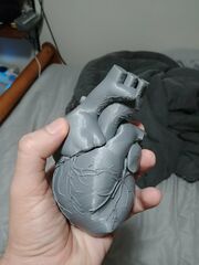 20180331_134605.jpg