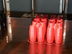 IMG_8029.JPG