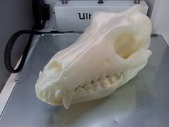 20160202_204544.jpg