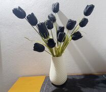 20210629_211142.jpg