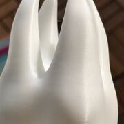 IMG_5875.JPG