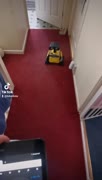2021-08-25-153641703.mp4