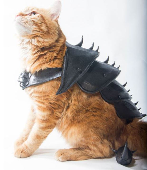 CatArmor.JPG