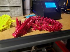 20220306_120220.jpg