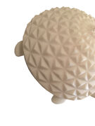 tutrtleshell.JPG