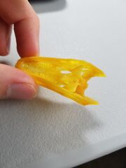 20170728_123639.jpg