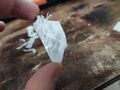 BlueBoxGoblin Photo d'impression 3D