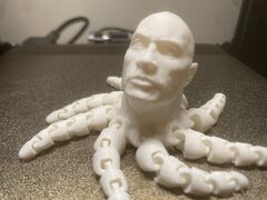 Roctopus 1.JPG
