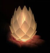 Pine-Cone-977x1024.jpg
