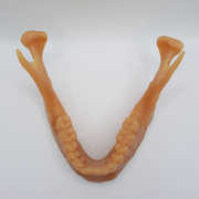 Print Jaw resin top.png