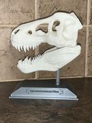 Trex Skull.jpg