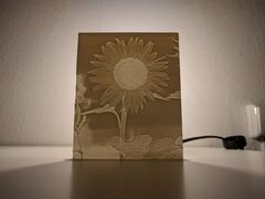 IMG_20171030_211034 (1).jpg