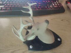 IMG_20220802_213946.jpg