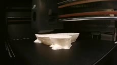 ECC_0.4_Kangaskhan02_STL_Elegoo RAPID PLA+ _0.26_2h48m-16369756 (1).mp4