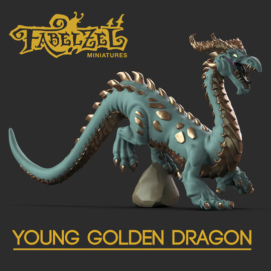 Young Golden Dragon