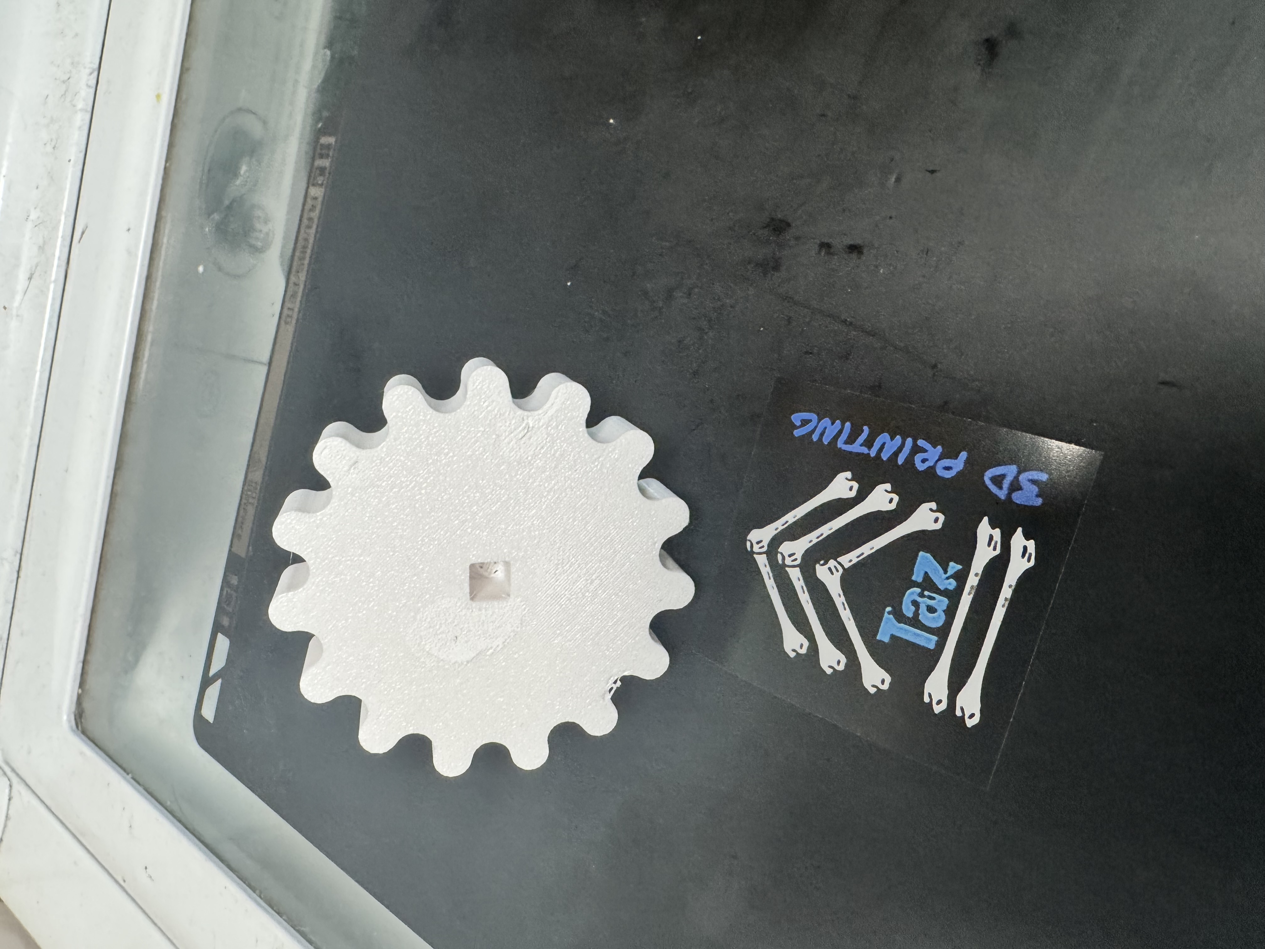 Taz's 3D Printing 3D printing photo