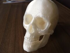 IMG_0455.JPG