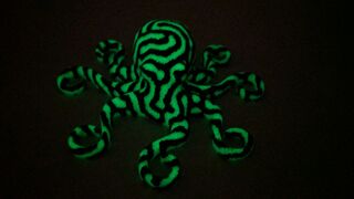 IMG_20170610_002016.jpg