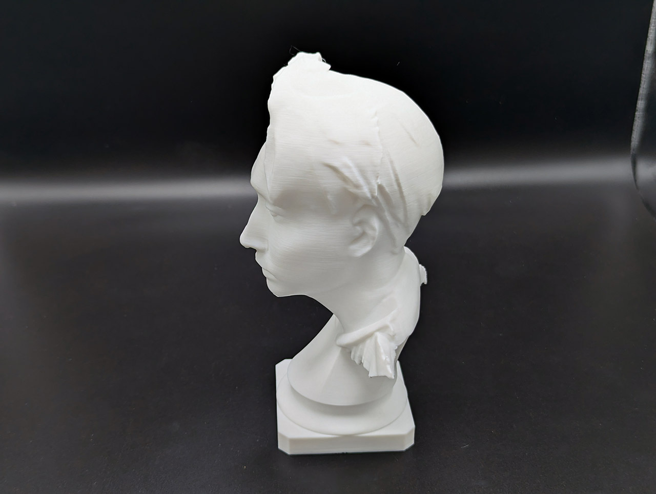 Seaside 3D 3D printing photo