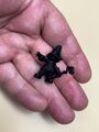 Review image #6228957