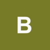 Bandicorp Logo