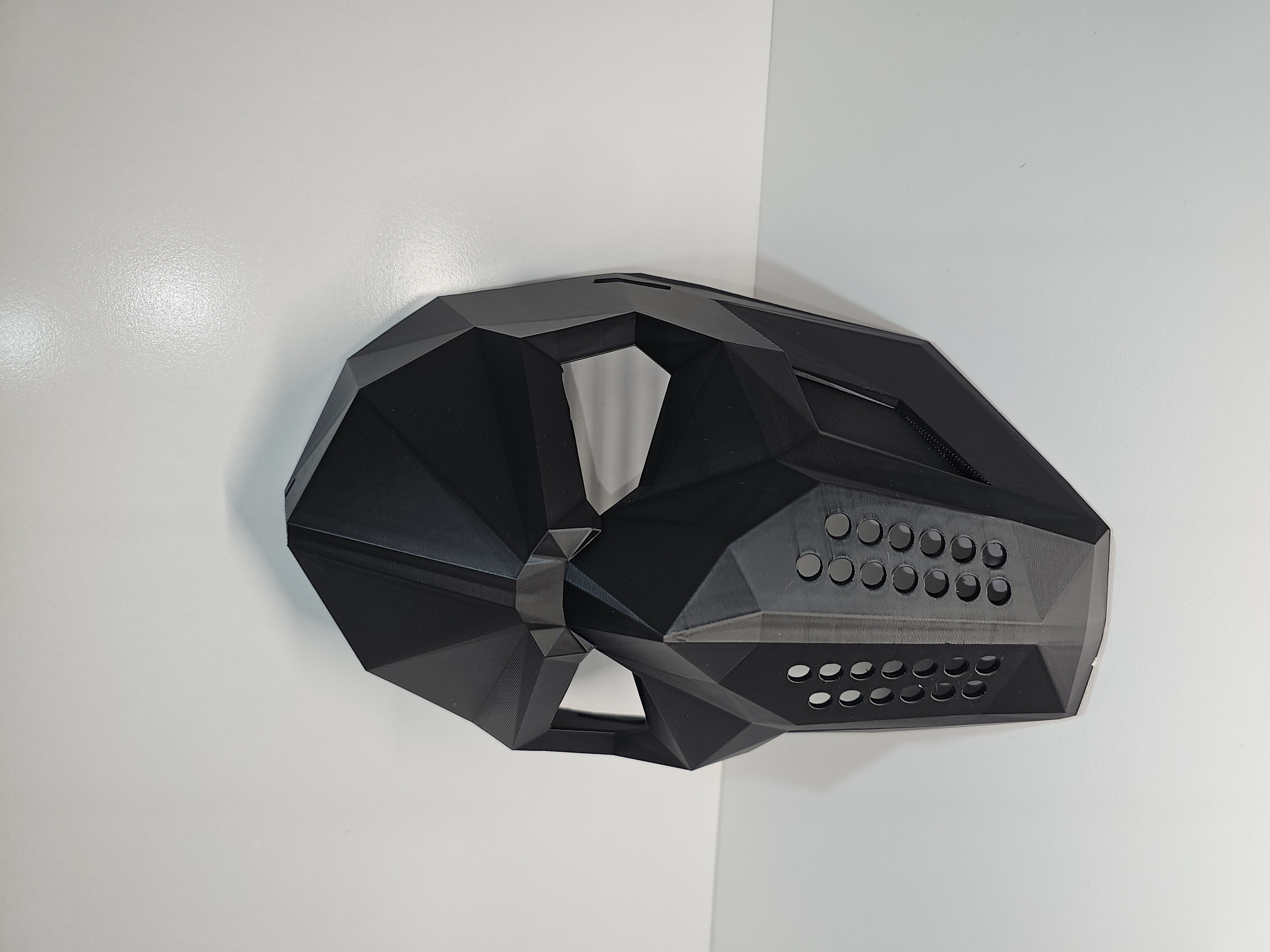 Valkyrie Custom WorX 3D printing photo