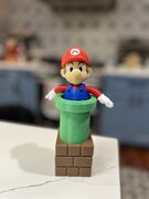 IMG_8309.jpeg
