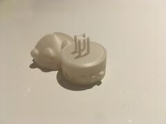 IMG_2321.jpeg