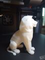 ProEnzo 3D 3D printing photo
