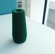 the_vase.JPG