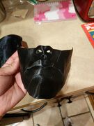 IMG_20170606_212837.jpg