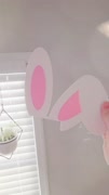 lv_0_20240229222507.mp4