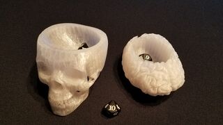 Skull &amp; Brain.jpg