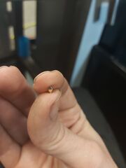 20220306_203045.jpg