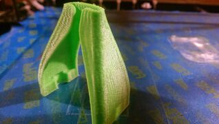 IMAG0954.jpg