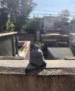 IMG_5665.jpg