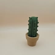 cactiPC3D.mp4