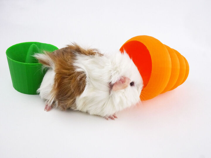 Guinea Pig Carrot Toy