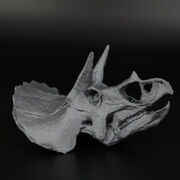 printmaker3d-skull-2.JPG