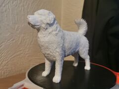IMG_20210515_210132.jpg
