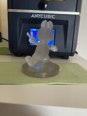 IMG_3075.JPG