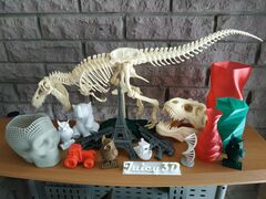 IMG_20190110_133024.jpg