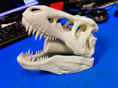 IMG_20141114_133911.jpg