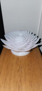 20230910_214630.jpg