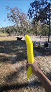 20241203_134844_2.mp4