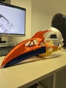IMG_2676.jpeg