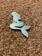 IMG_1078.jpg